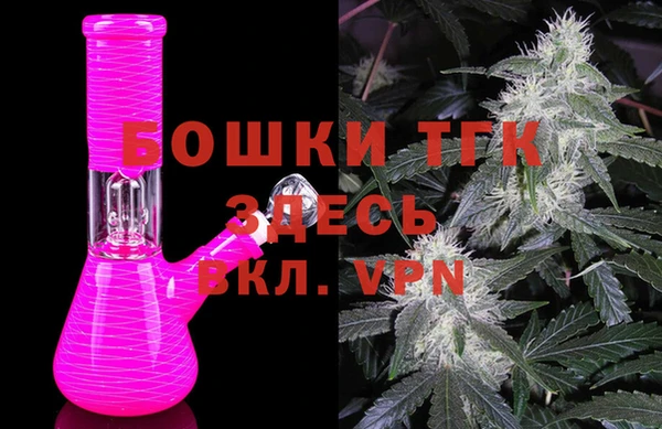 дмт Переславль-Залесский