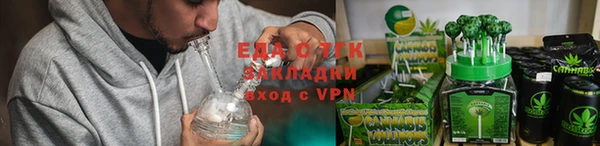 дмт Переславль-Залесский